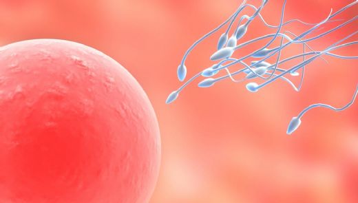 Gebeliğin İlk Haftası Karın Ağrısı Belirtileri ve Tedavisi